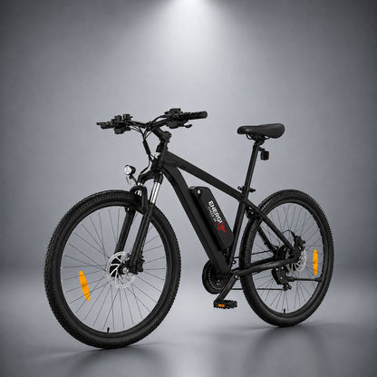 E-Fahrrad