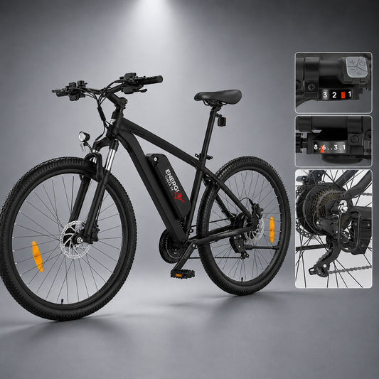 E-Fahrrad